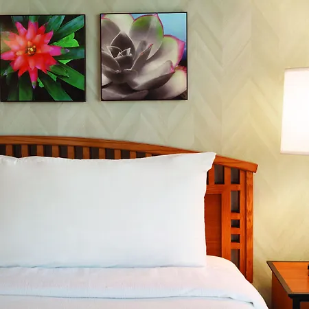 Hotel Embassy By Hilton Anaheim South