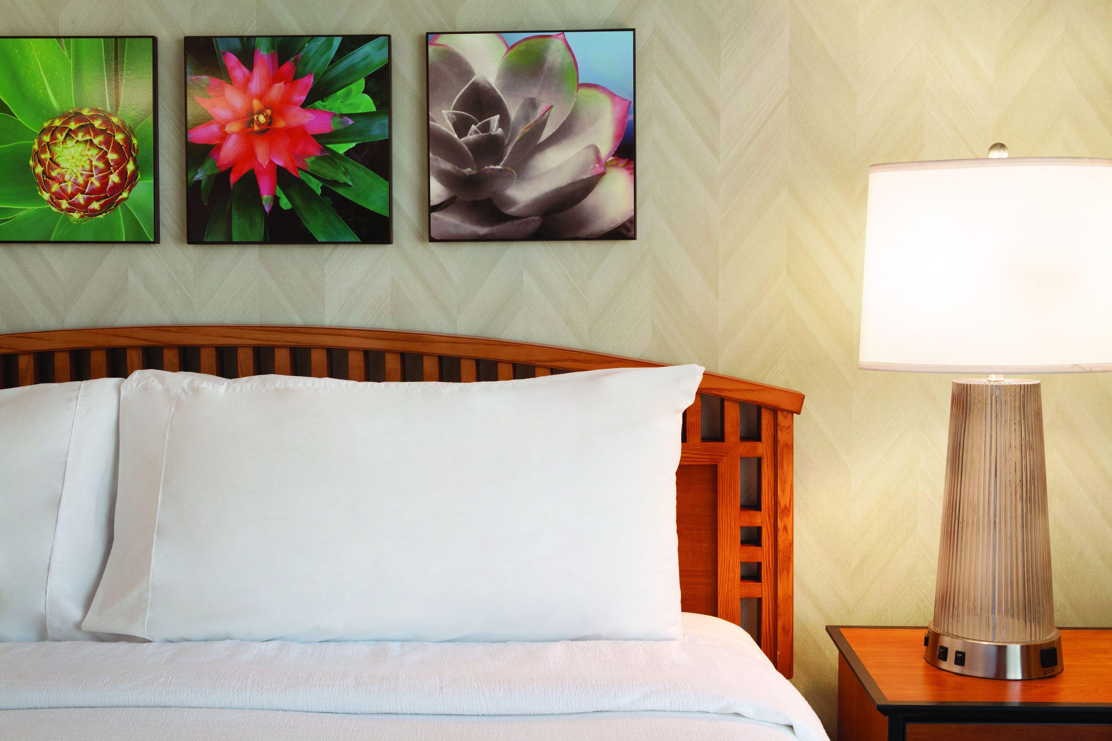 Hotel Embassy By Hilton Anaheim South